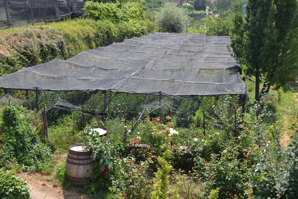 Agriturismo Nonno Tobia Agerola Exterior photo